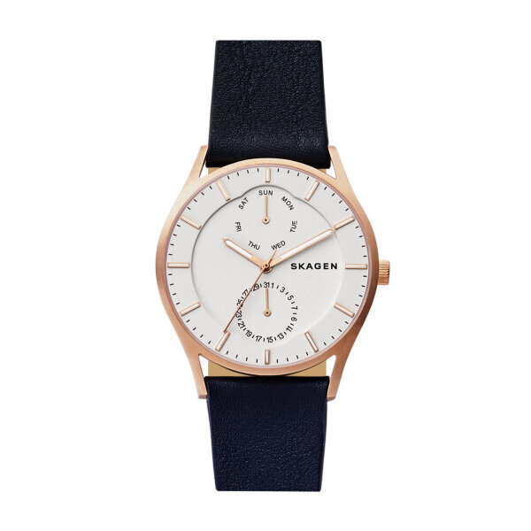 Vyriškas laikrodis Skagen SKW6372 цена и информация | Vyriški laikrodžiai | pigu.lt