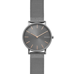 Laikrodis vyrams Skagen SKW6445 цена и информация | Мужские часы | pigu.lt