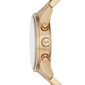 Laikrodis moterims Michael Kors MK6356 kaina ir informacija | Moteriški laikrodžiai | pigu.lt