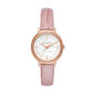 Moteriškas laikrodis Michael Kors MK2663 kaina ir informacija | Moteriški laikrodžiai | pigu.lt