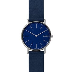 Vyriškas laikrodis Skagen SKW6481 цена и информация | Мужские часы | pigu.lt