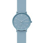 Vyriškas laikrodis Skagen SKW6509 kaina ir informacija | Vyriški laikrodžiai | pigu.lt