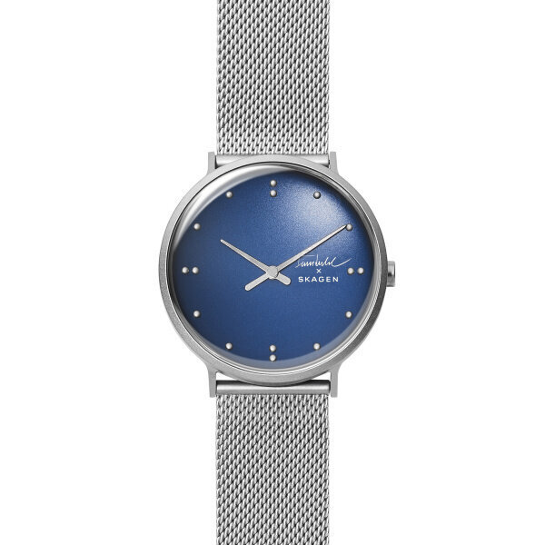 Laikrodis vyrams Skagen SKW6584 цена и информация | Vyriški laikrodžiai | pigu.lt