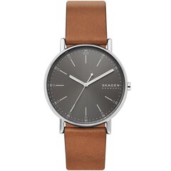 Мужские часы Skagen SKW6578 цена и информация | Мужские часы | pigu.lt