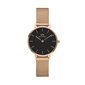 Laikrodis Daniel Wellington DW00100217 kaina ir informacija | Moteriški laikrodžiai | pigu.lt