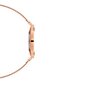 Laikrodis Daniel Wellington DW00100303 kaina ir informacija | Moteriški laikrodžiai | pigu.lt