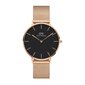 Laikrodis Daniel Wellington DW00100303 kaina ir informacija | Moteriški laikrodžiai | pigu.lt