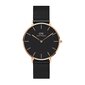 Laikrodis moterims Daniel Wellington DW00100307 цена и информация | Moteriški laikrodžiai | pigu.lt