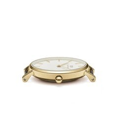 Daniel Wellington Petite 28 Evergold женские часы цена и информация | Женские часы | pigu.lt