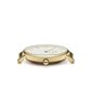 Laikrodis Daniel Wellington DW00100350 цена и информация | Moteriški laikrodžiai | pigu.lt