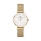 Laikrodis Daniel Wellington DW00100350 цена и информация | Moteriški laikrodžiai | pigu.lt