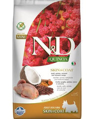 Farmina N&D Quinoa Dog Skin&Coat mažų veislių šunims su putpele ir kokosu, 2.5 kg kaina ir informacija | Sausas maistas šunims | pigu.lt