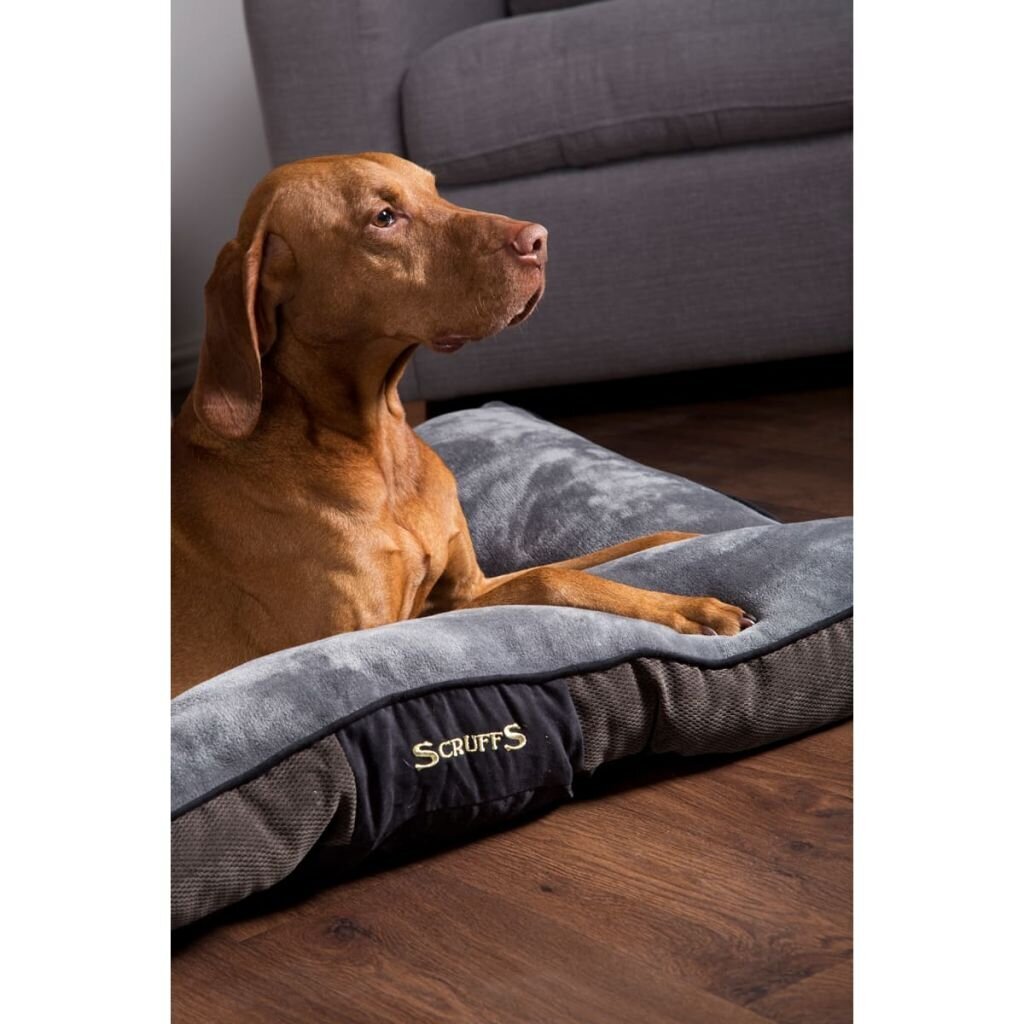 Scruffs & Tramps čiužinys šuniui Chester, pilkas, M kaina ir informacija | Guoliai, pagalvėlės | pigu.lt