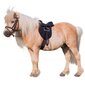 Balno rinkinys Kerbl Economy Pony 15 цена и информация | Jojimo prekės | pigu.lt