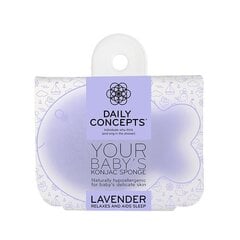 Губка для мытья Konjac Sponge с лавандой для малышей Daily Concepts цена и информация | Косметика для мам и детей | pigu.lt