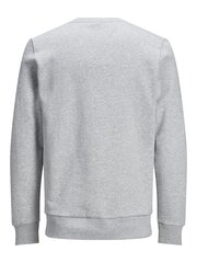 Džemperis vyrams Jjsports Sweat Crew Neck 12177939 kaina ir informacija | Jack&Jones Apranga, avalynė, aksesuarai | pigu.lt