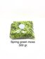 Stabilizuota samana Spring green 300 gr. kaina ir informacija | Miegančios rožės, stabilizuoti augalai | pigu.lt