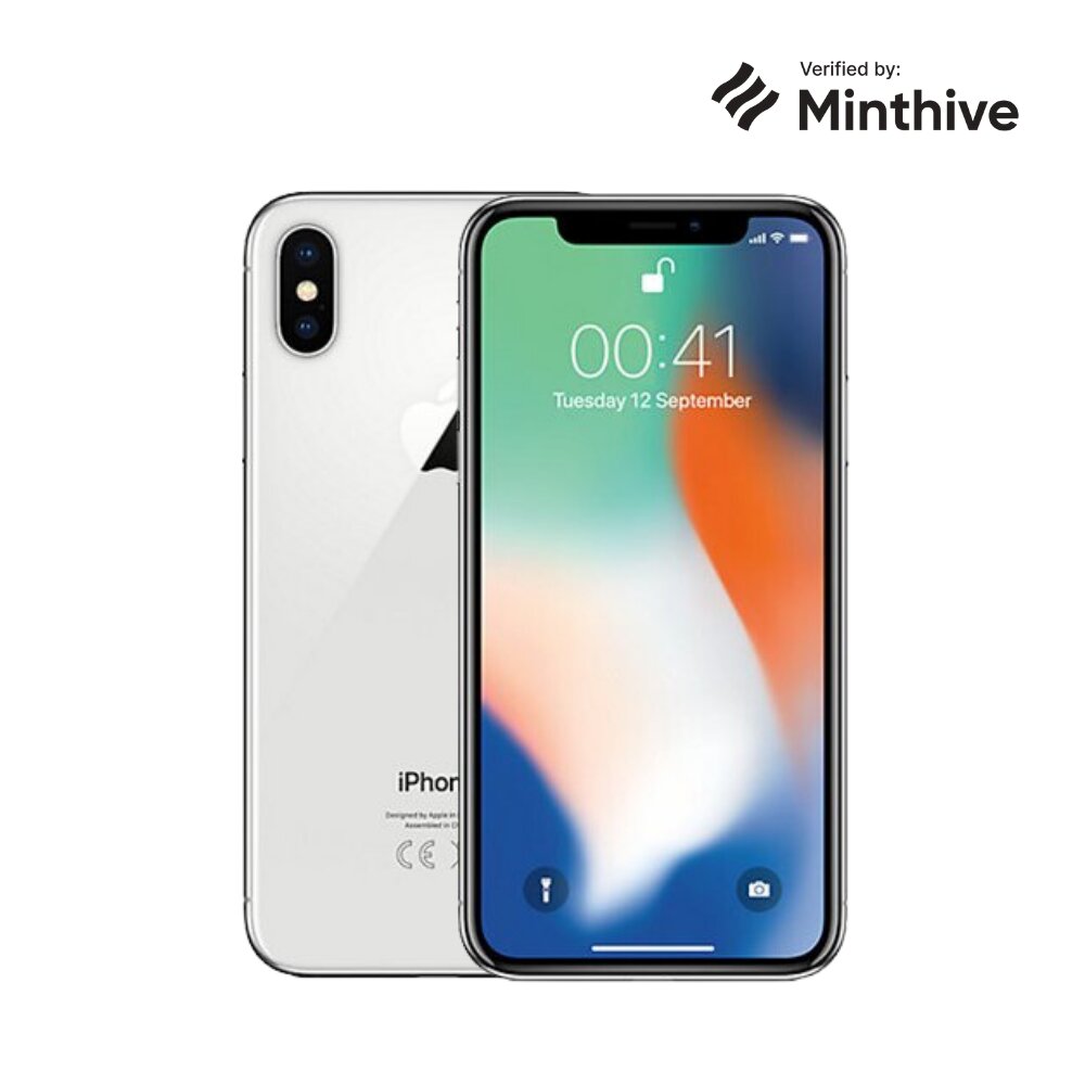 Apple iPhone X 64GB Silver цена и информация | Mobilieji telefonai | pigu.lt