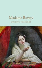 Madame Bovary kaina ir informacija | Romanai | pigu.lt