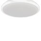 Milagro lubinis led šviestuvas Terma White 28 W цена и информация | Lubiniai šviestuvai | pigu.lt