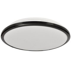 Eko-Light lubinis led šviestuvas Terma Black 28 W kaina ir informacija | Lubiniai šviestuvai | pigu.lt