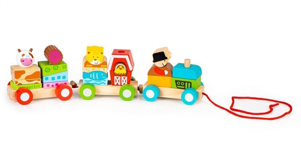 Medinis žaislinis traukinukas su medinėmis kaladėlėmis EcoToys, 20 vnt. kaina ir informacija | Žaislai kūdikiams | pigu.lt