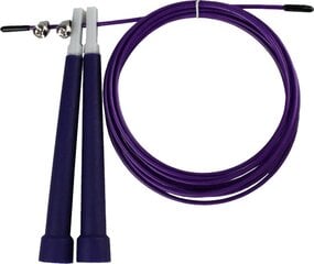 Šokdynė Eb Fit 300 cm, violetinė kaina ir informacija | Šokdynės | pigu.lt