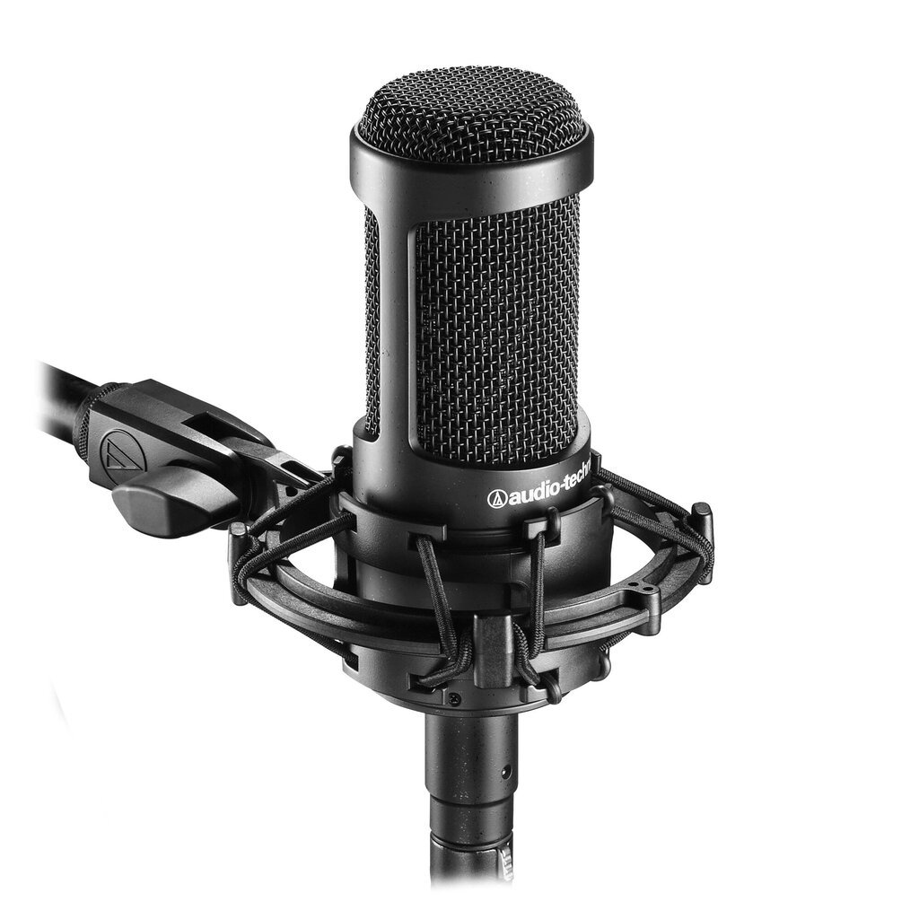 Kardioidinis kondensatorinis mikrofonas Audio Technica AT2035 kaina ir informacija | Mikrofonai | pigu.lt