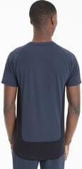 Puma Marškinėliai Vyrams Evostripe Tee Blue kaina ir informacija | Vyriški marškinėliai | pigu.lt