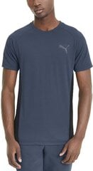 Puma Marškinėliai Vyrams Evostripe Tee Blue kaina ir informacija | Vyriški marškinėliai | pigu.lt