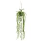 Emerald dirbtinis smulkusis fikusas vazone, 60cm, pakabinamas цена и информация | Dirbtinės gėlės | pigu.lt