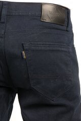 Джинсы BLK JEANS цена и информация | Mужские джинсы Only & Sons Loom 5714910844399 | pigu.lt