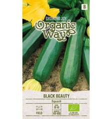 Цукини Black Beauty Organic Way, 1.0 г цена и информация | Семена овощей, ягод | pigu.lt