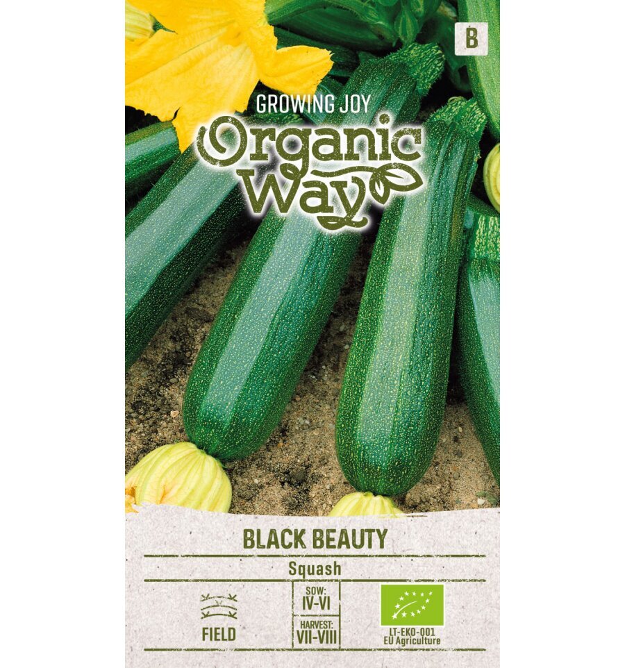 Cukinijos Black Beauty Organic Way 1,0 g цена и информация | Daržovių, uogų sėklos | pigu.lt