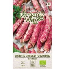 Pupelės daržinės žemaūgės Borlotto Lingua Di Fuoco Nano Organic Way 7,0 g kaina ir informacija | Daržovių, uogų sėklos | pigu.lt