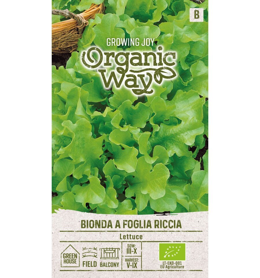 Salotos sėjamosios Bionda A Foglia Riccia Organic Way 2,0 g kaina ir informacija | Daržovių, uogų sėklos | pigu.lt