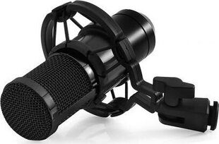 Mikrofonas Media-Tech MT396 kaina ir informacija | Mikrofonai | pigu.lt