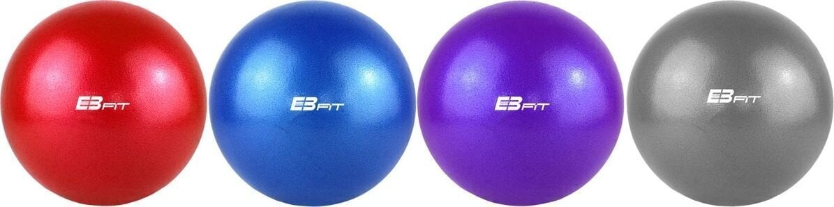 Gimnastikos kamuolys Eb Fit 25 cm, mėlynas цена и информация | Gimnastikos kamuoliai | pigu.lt