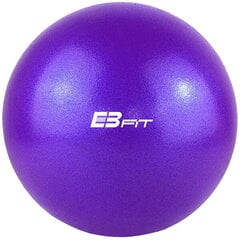 Gimnastikos kamuolys Eb Fit 25 cm, violetinis kaina ir informacija | Gimnastikos kamuoliai | pigu.lt