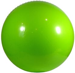 Гимнастический мяч с насосом Eb Fit 65 см, зеленый цена и информация | Гимнастические мячи | pigu.lt