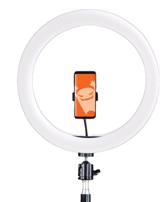 Žiedinė lempa GadgetMonster GDM-1023 kaina ir informacija | Fotografijos apšvietimo įranga | pigu.lt