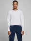 Marškinėliai vyrams Jack&Jones Jjebasic O-Neck Tee L/S 12059220 kaina ir informacija | Vyriški marškinėliai | pigu.lt