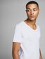 Marškinėliai vyrams Jack&Jones Jjebasic V-Neck Tee S/S 12059219 kaina ir informacija | Vyriški marškinėliai | pigu.lt