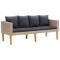 Dvivietė sodo sofa su pagalvėlėmis, ruda цена и информация | Lauko kėdės, foteliai, pufai | pigu.lt