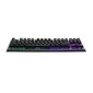 Klaviatūra Cooler Master CK-530-GKTR1-US kaina ir informacija | Klaviatūros | pigu.lt