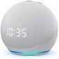 Amazon Echo Dot 4 Clock, balta kaina ir informacija | Garso kolonėlės | pigu.lt