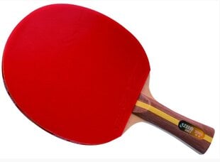 Ракетка для настольного тенниса DHS 2002 цена и информация | Ракетки для настольного тенниса, чехлы и наборы | pigu.lt