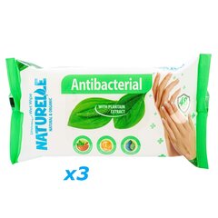 Drėgnos antibakterinės rankų servetėlės Naturelle, 48vnt kaina ir informacija | Pirmoji pagalba | pigu.lt