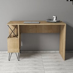 Письменный стол Extra, светло-коричневый цена и информация | Компьютерные, письменные столы | pigu.lt