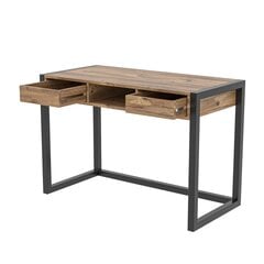 Rašomasisis stalas Ogene, rudas/juodas kaina ir informacija | Kompiuteriniai, rašomieji stalai | pigu.lt
